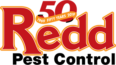 redd-50-logo
