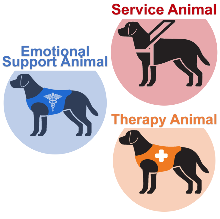 service-support-therapy-dog-animal-icon