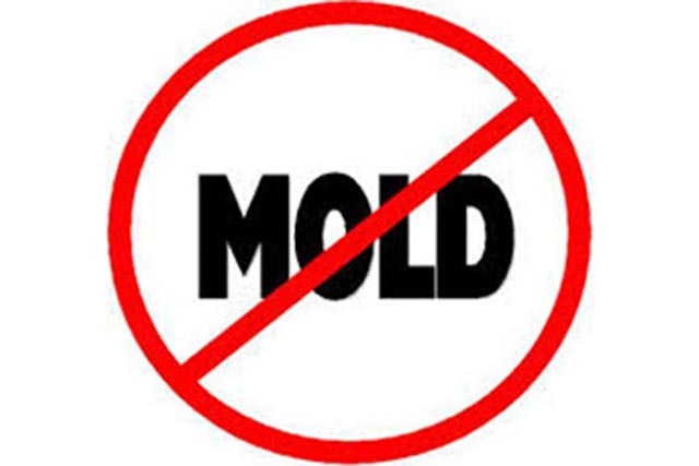 mold-300